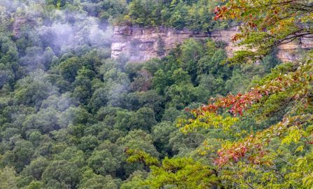 Lexington Red River Gorge  Natural Bridge State Park