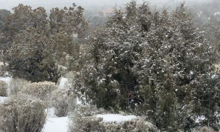 Sometimes life throws you a curve ball