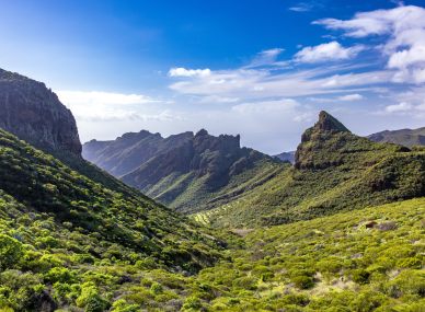 Tenerife