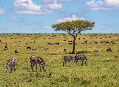 Maasai Mara National Reserve
