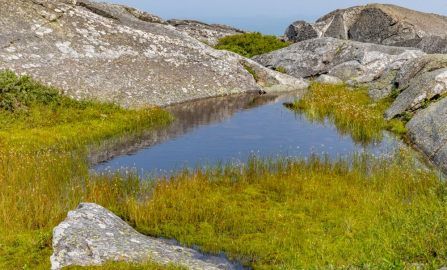 Keene Mount Monadnock