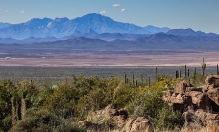 Tucson Desert museum and raptors