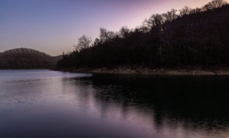 Eureka Springs and Sprungbilly