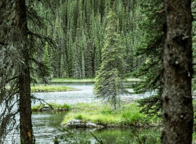 Denali National Park and Preserve