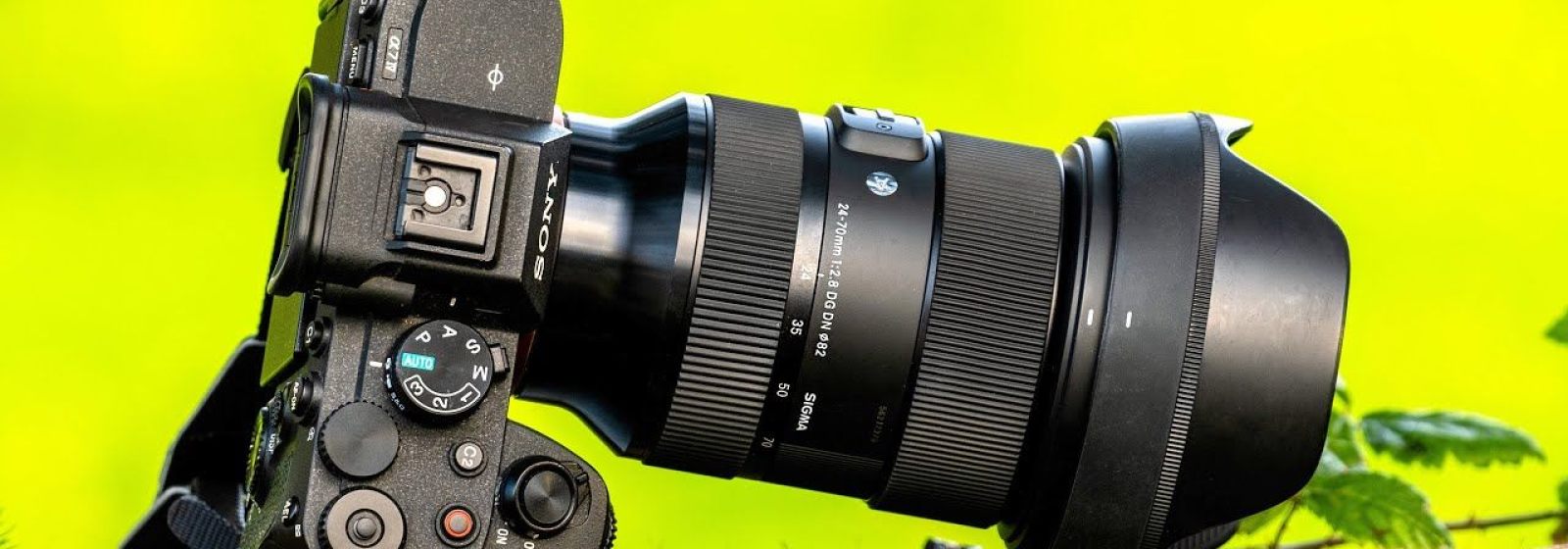 Sigma 24 70mm f 2 8 DG DN Art Is it STILL the all around dream lens