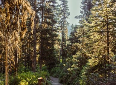 Banff National Park
