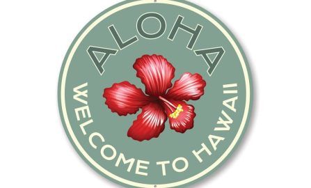 Mountain View to Hilo