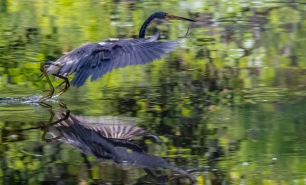 Sarasota to Islamorada Key