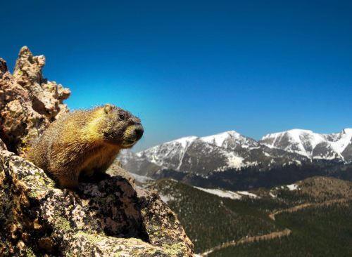 Rocky Mountain National Park