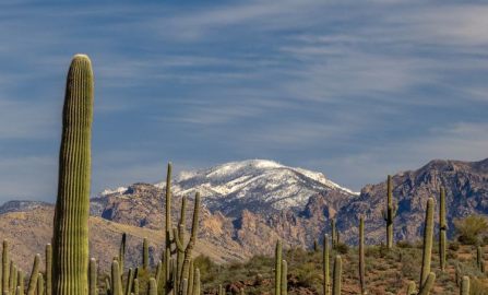 Tuscon a desert hike