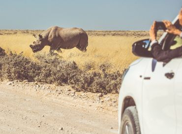 Etosha National Park
