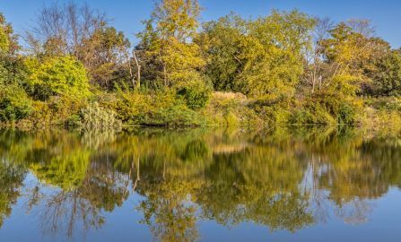 St  Louis History day