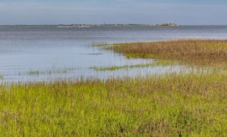 Columbia to Charleston