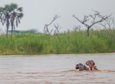 Rusizi National Park
