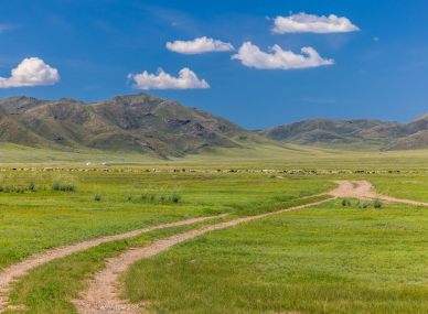 Hustai National Park