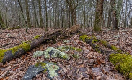 Hot Springs National Park