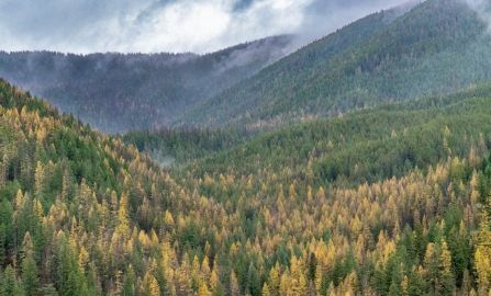 Whitefish Museum of the Plains Indian