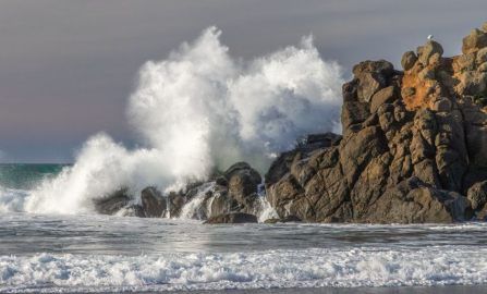 Lincoln City King Tides 2