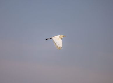 Rusizi National Park