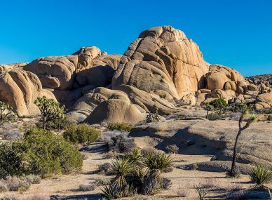 Joshua Tree National Park