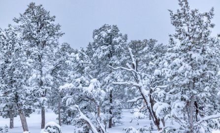 Grand Canyon to Sedona Did I make it out of the Grand Canyon