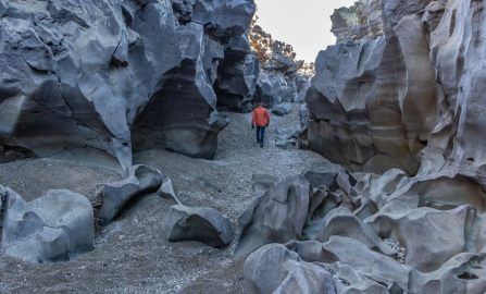 Sun Valley Black Magic Canyon