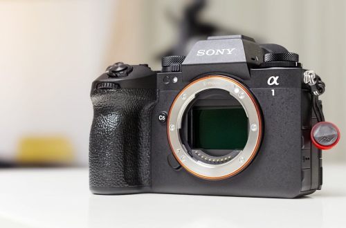 Sony Alpha 1 II   � It s not perfect  I m happy