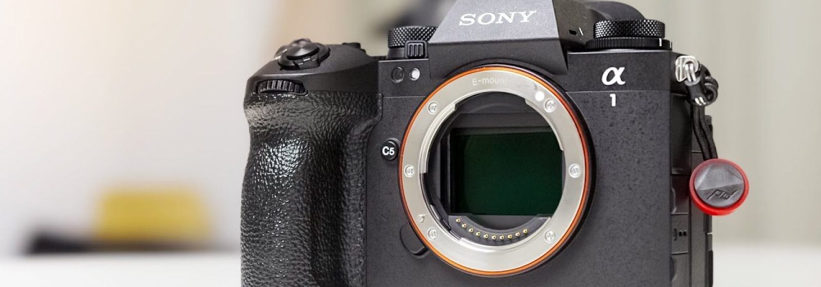 Sony Alpha 1 II   � It s not perfect  I m happy