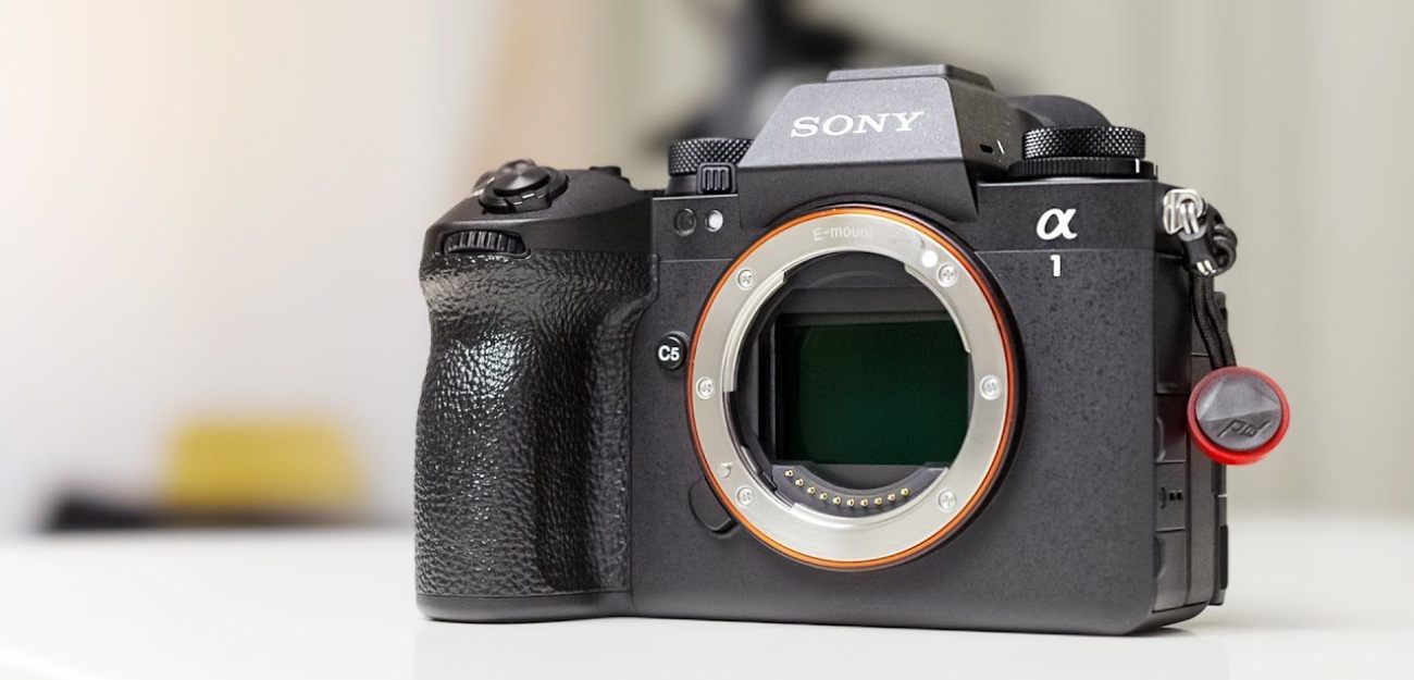 Sony Alpha 1 II   � It s not perfect  I m happy