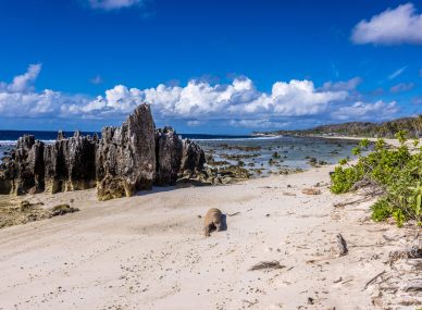 Nauru