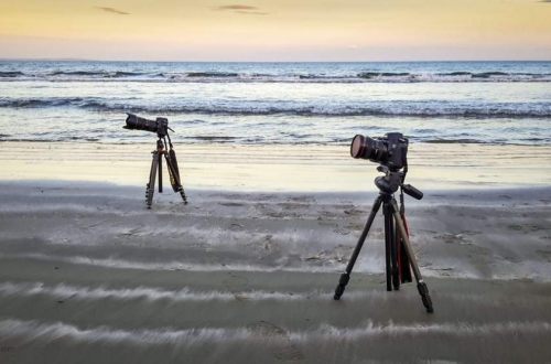 Canon vs Nikon najstarszy konflikt w 2016 roku