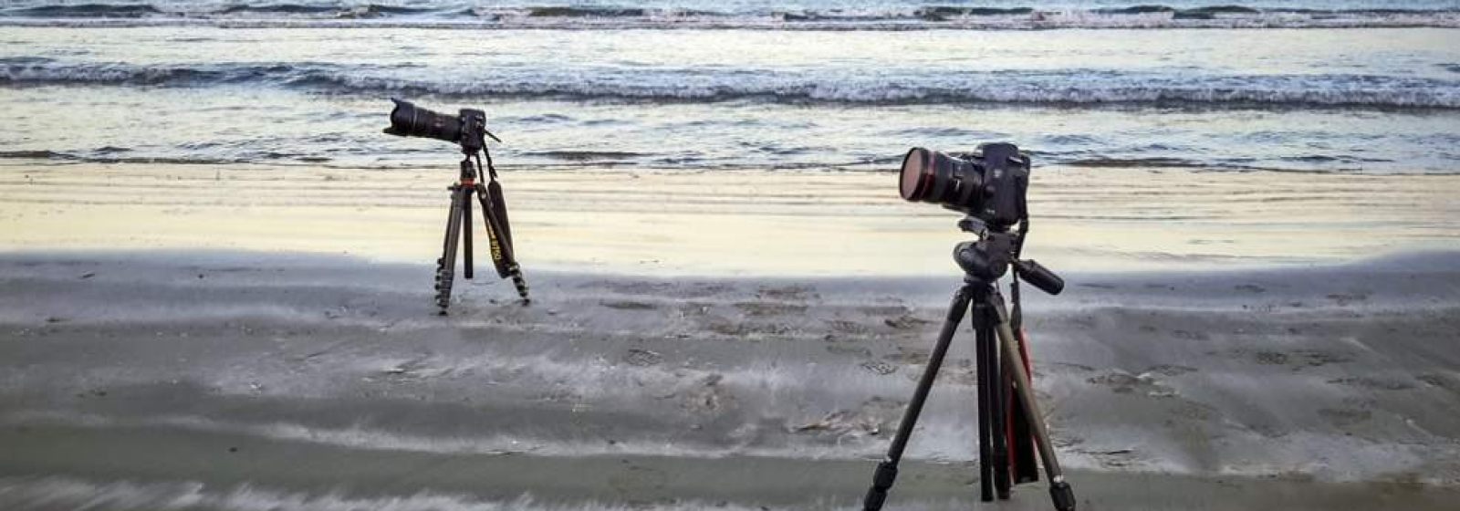 Canon vs Nikon najstarszy konflikt w 2016 roku