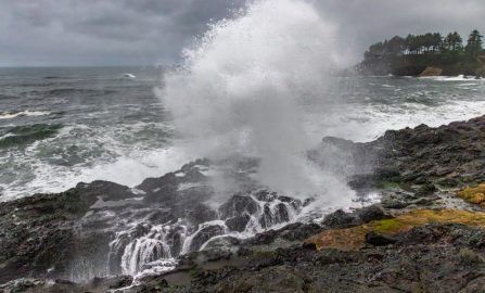 Lincoln City King Tides
