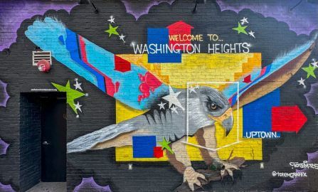 NYC I survived alternate side parking