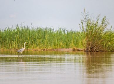Rusizi National Park