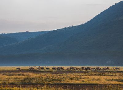 Lake Nakuru National Park