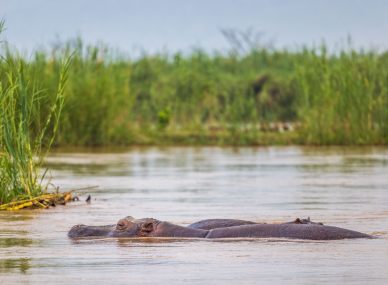 Rusizi National Park