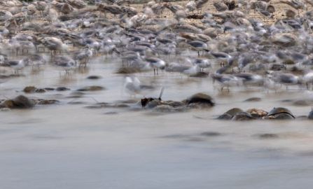 Atlantic City to Princeton