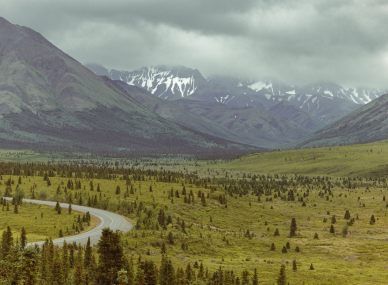 Denali National Park and Preserve