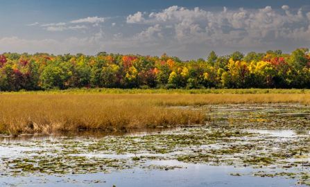 Duluth to the Twin Cities
