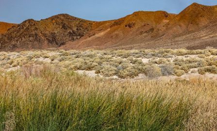 Henderson A day of R R