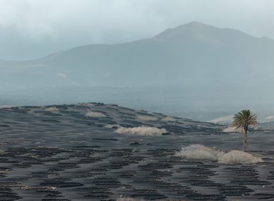 Lanzarote