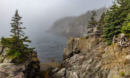 Bar Harbor Quoddy Head State Park