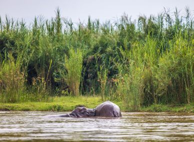 Rusizi National Park