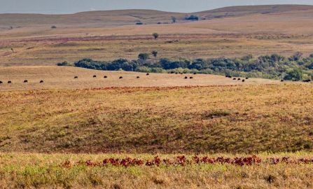 Topeka to Manhattan  KS