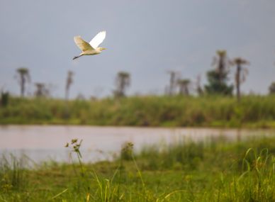 Rusizi National Park