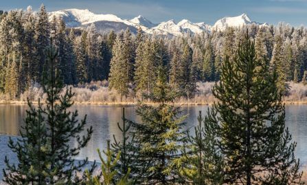 Whitefish to Gardiner