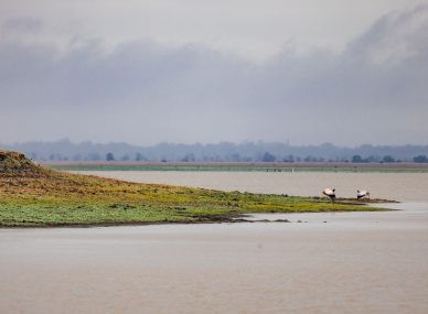 Gorongosa National Park