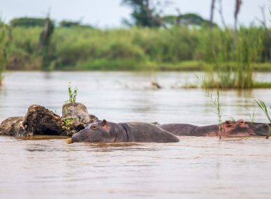Rusizi National Park