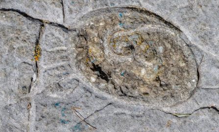 Bristol Isle La Motte